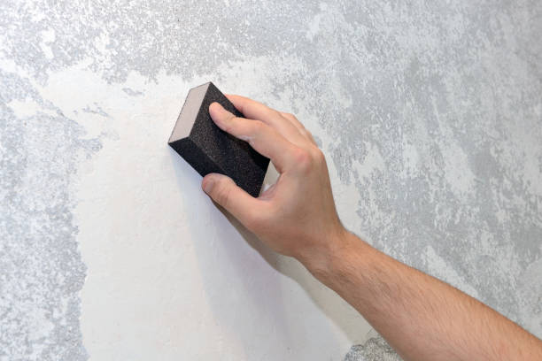 Best Basement Mold Removal  in Streator, IL