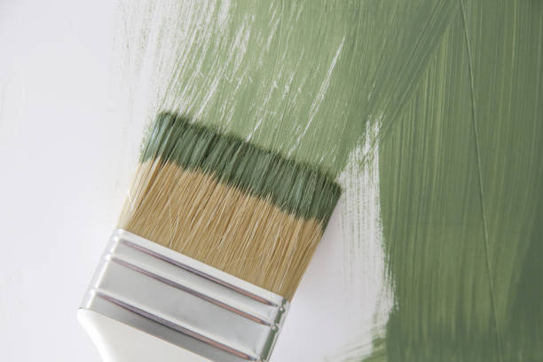 Best Mold Damage Restoration  in Streator, IL