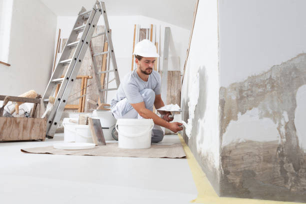 Best Water Damage & Mold Remediation  in Streator, IL