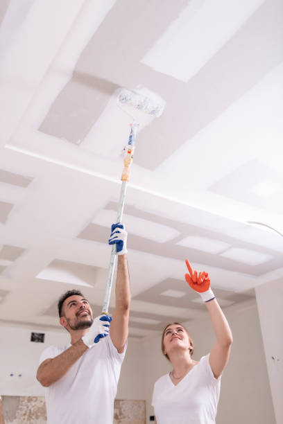 Best Indoor Air Quality Assessment  in Streator, IL