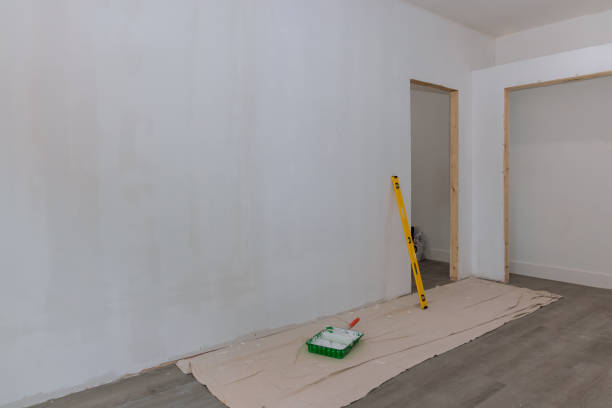 Best Crawl Space Mold Remediation  in Streator, IL