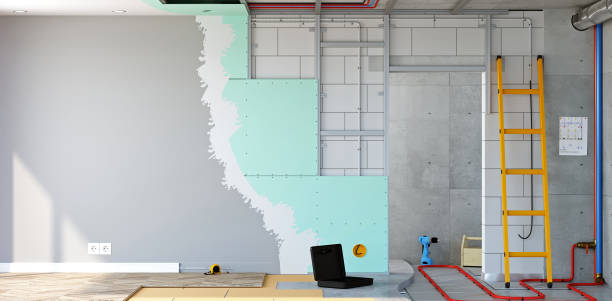 Best Asbestos and Lead Testing During Mold Inspection  in Streator, IL