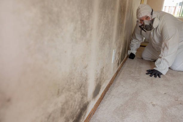Best HVAC Mold Inspection and Cleaning  in Streator, IL
