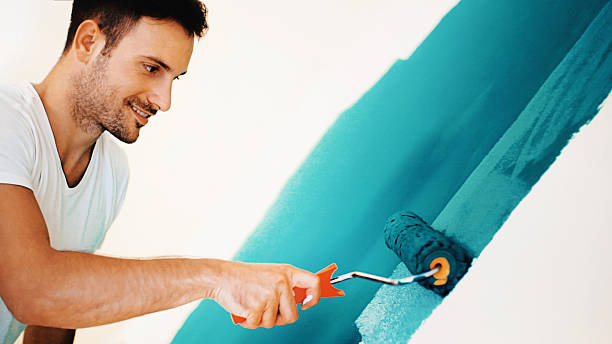 Best Black Mold Removal  in Streator, IL
