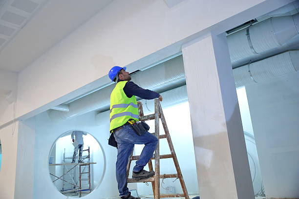 Best Industrial Mold Remediation  in Streator, IL