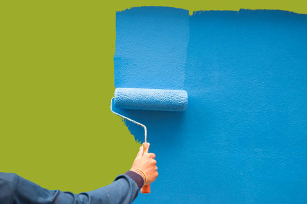 Best Environmental Consulting for Mold Prevention  in Streator, IL