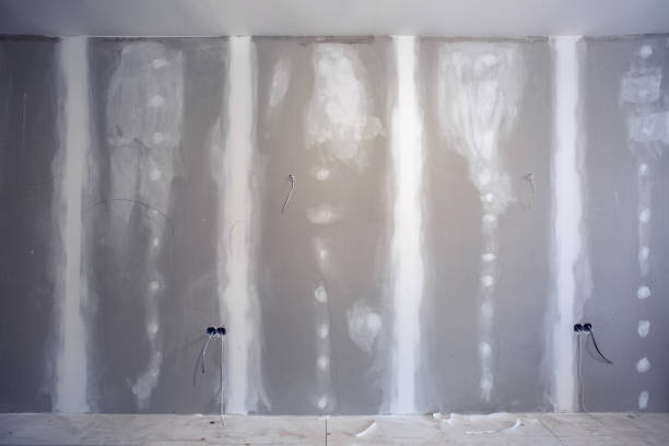 Best Mold-Related Health Consultation  in Streator, IL